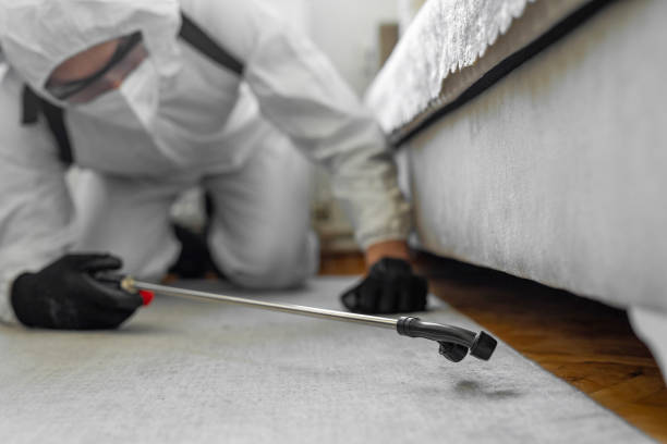 Professional Termite Control technician working in Lisbon, ND