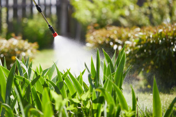 24/7 Emergency Termite Control experts in Lisbon, ND