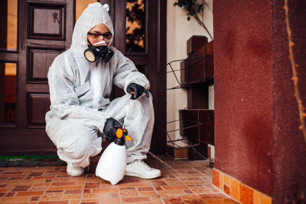Reliable Termite Control contractor in Lisbon, ND by Nex Pest Control